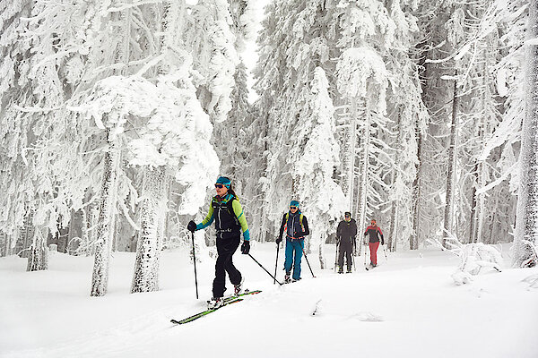 Vier Menschen beim Langlaufen im verschneiten Wald